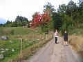 IMG_4258