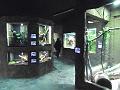 SAM_0109