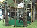 SAM_0113