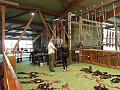 SAM_0115