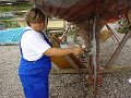 DSC00032